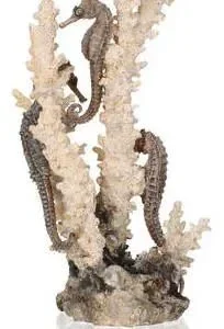Biorb Caballitos de mar en coral natural M – France