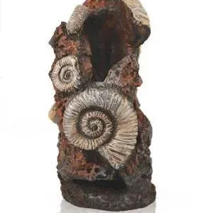 Biorb Concha antigua deco – France