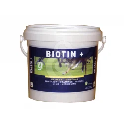 Biotin +