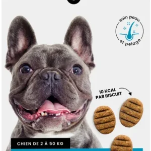 Biscuits Hypoallergéniques