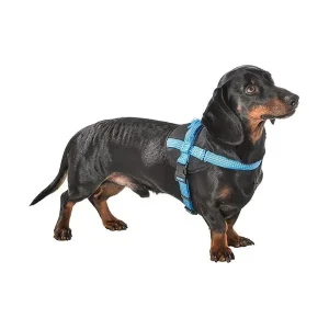 Bobby Harnais Easy Safe Bleu pour Chien – XS
