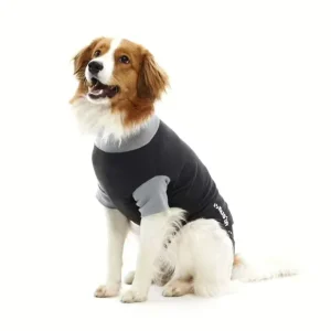 Body chien
