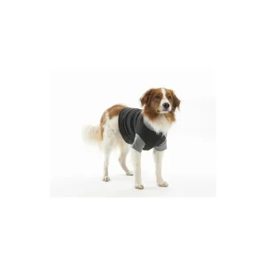 Body Post Chirurgie Buster Body Suit / Chronovet