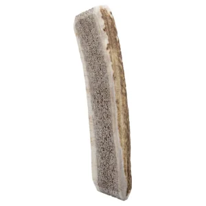 Bois de Cerf Fendu : Friandise Naturelle pour Chien Mastication