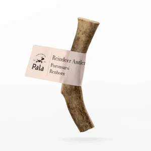 Bois de cerf – Friandise naturelle de mastication