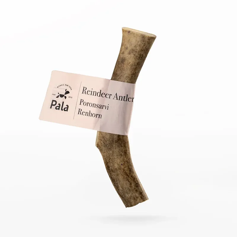 Bois de cerf – Friandise naturelle de mastication