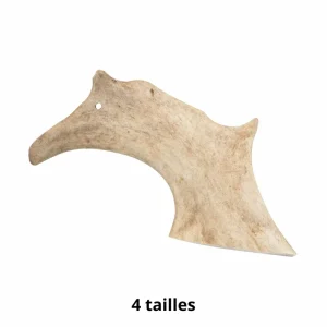 Bois de daim Doogy – Mastication pour chien – Os à mâcher, Cornes et Bois – Notre passion, vos animaux !