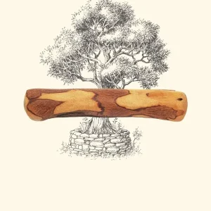 Bois d’olivier