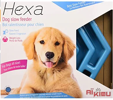 Bol ralentisseur pour chien, Hexa de Aïkiou