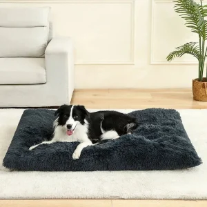 Bon panier pour chien