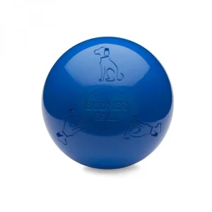 Boomer Ball chien