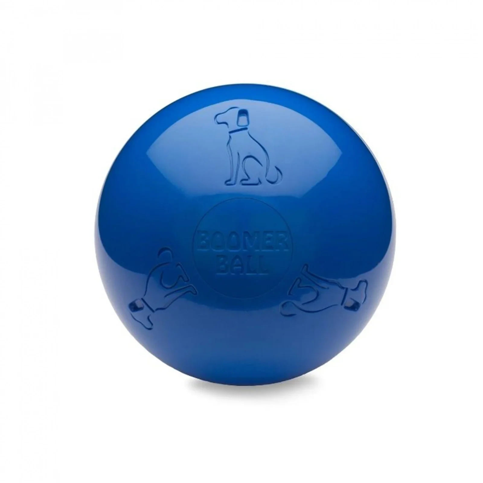 Boomer Ball chien