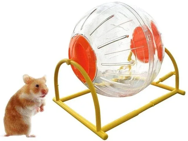 Boule d’exercice Rongeur Runner avec armature