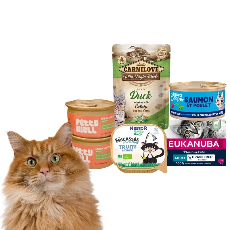 Box Découverte Pâtées Multi-Marques Mix de Saveurs pour Chat
