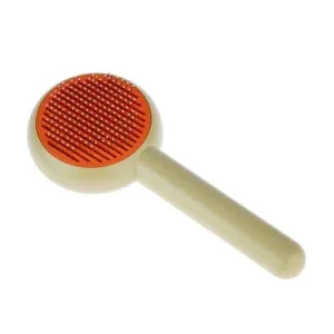 Brosse TIAKI Brush & Click