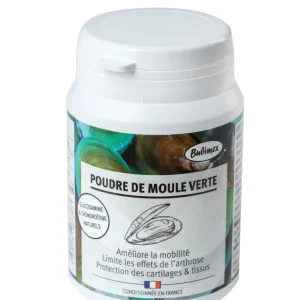 Bubimex - Poudre de Moules Vertes pour Chien - 60g