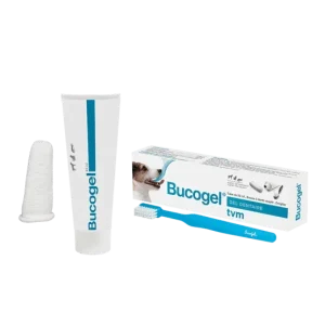 Bucogel – placedesvetos.com