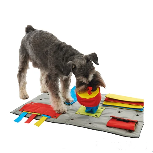 Buster Activity Mat (Tapis d'Activité)