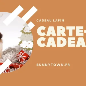 Cadeau Lapin