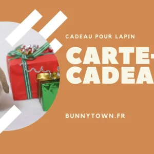 Cadeau pour Lapin