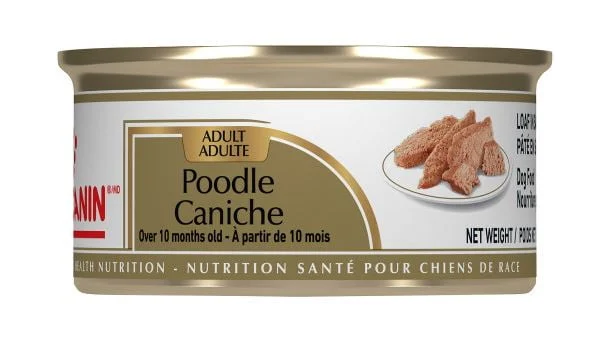CAISSE 24 UNITÉS, Nourriture pour caniche pâté en sauce, Royal Canin 85g