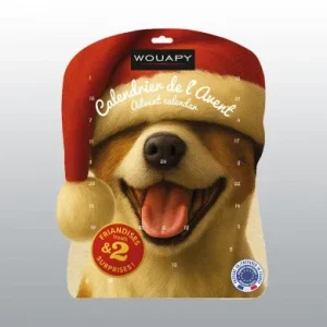 Calendrier de l'avent - Chien