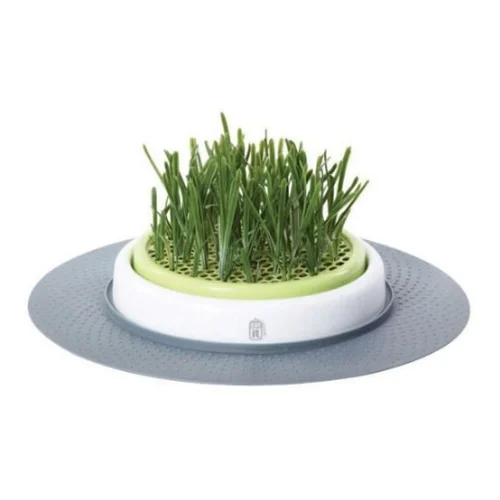 Catit Senses Jardinière d'Herbe à Chat