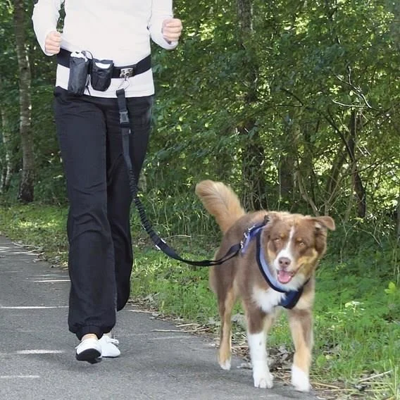 Ceinture ventrale avec laisse pour chien, Trixie - Image 2