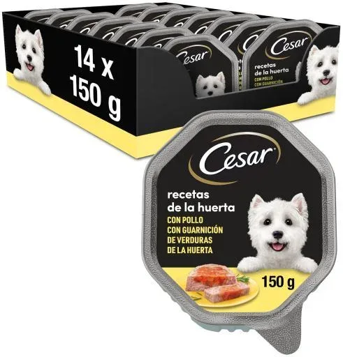 Cesar Nourriture humide Recettes pour chiens une baignoire en pâté – France