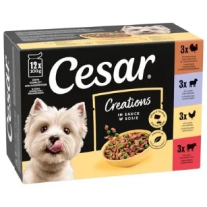 Cesar Sélection Viande et légumes en sauce
