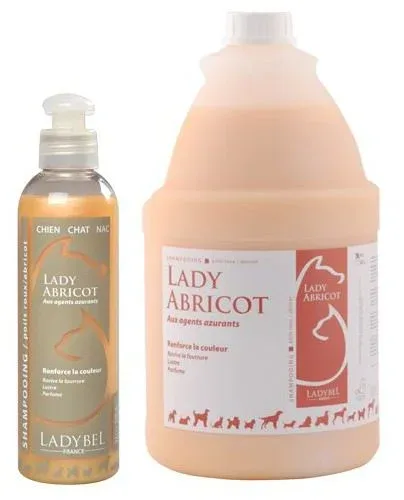 Chadog Abricot-Dame – France