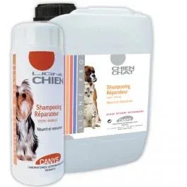 Chadog Shampoing Réparateur Mango-Vision – France