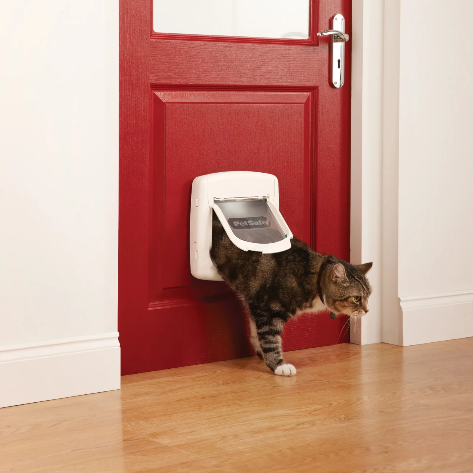 Chatière magnétique Staywell® Deluxe chat, petit chien - Image 2