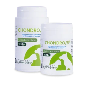 Chondro B spécial articulations chat, chien