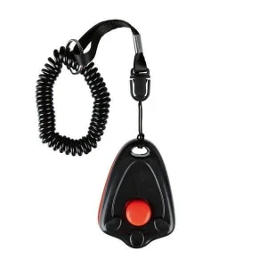 CLICKER EDUCATION