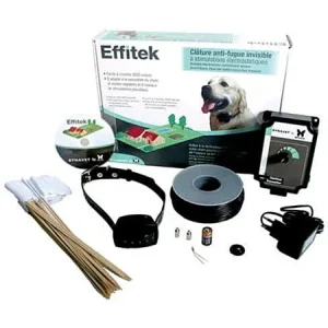 Coffret clôture invisible anti-fugue Effitek