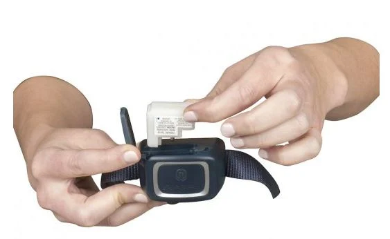 Collier anti-aboiement à jet Petsafe rechargeable PBC17-16369 - Image 2