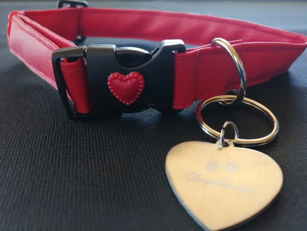 Collier chien Coeur Rouge avec médaille T2,5 x 66-39 cm fr