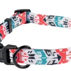 Collier chien Globetrotter TM fr