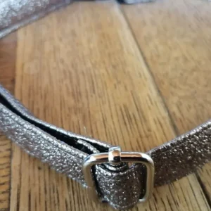 Collier chien Paillette de Star Bronze T45-75 fr