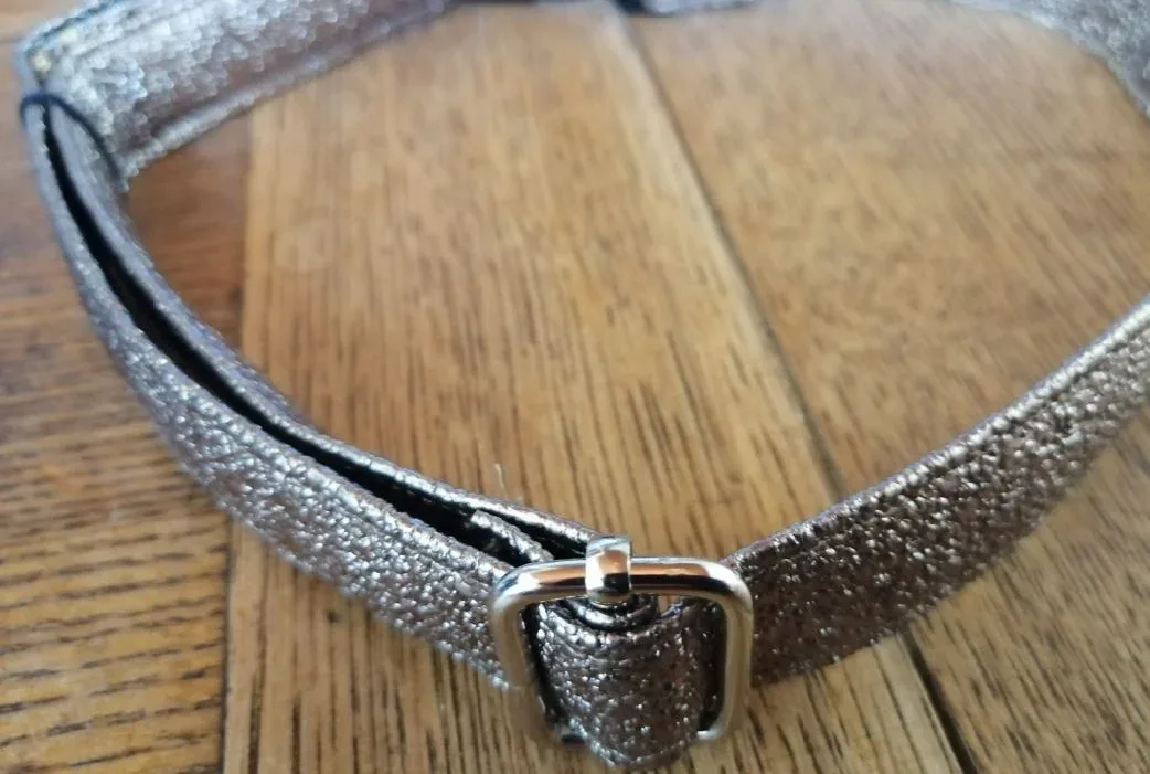 Collier chien Paillette de Star Bronze T45-75 fr