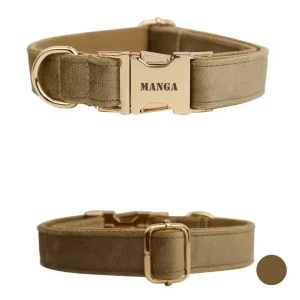 Collier chien personnalisé beige