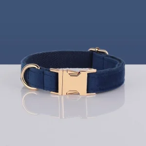 Collier chien personnalisé bleu
