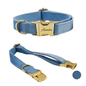 Collier chien personnalisé bleu ciel