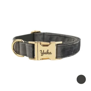Collier chien personnalisé gris