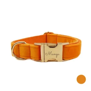 Collier chien personnalisé orange