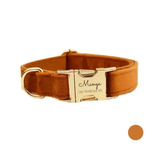 Collier chien personnalisé orange terne