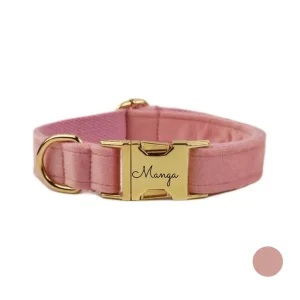 Collier chien personnalisé rose clair