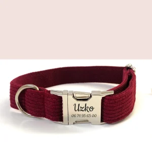 Collier Chien Personnalisé Velours Côtelé Bordeaux