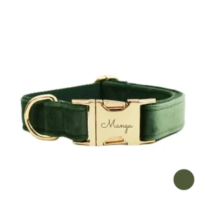 Collier chien personnalisé vert